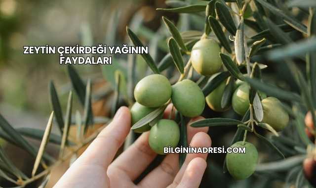 Zeytin Çekirdeği Yağının Faydaları