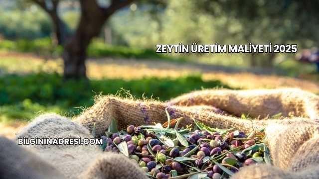 Zeytin Üretim Maliyeti 2025