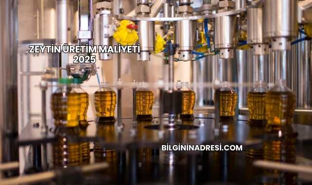 Zeytin Üretim Maliyeti 2025