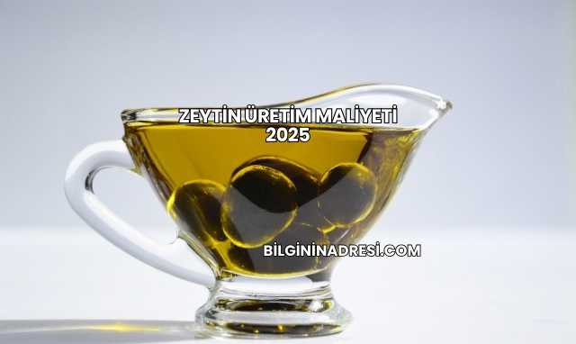 Zeytin Üretim Maliyeti 2025