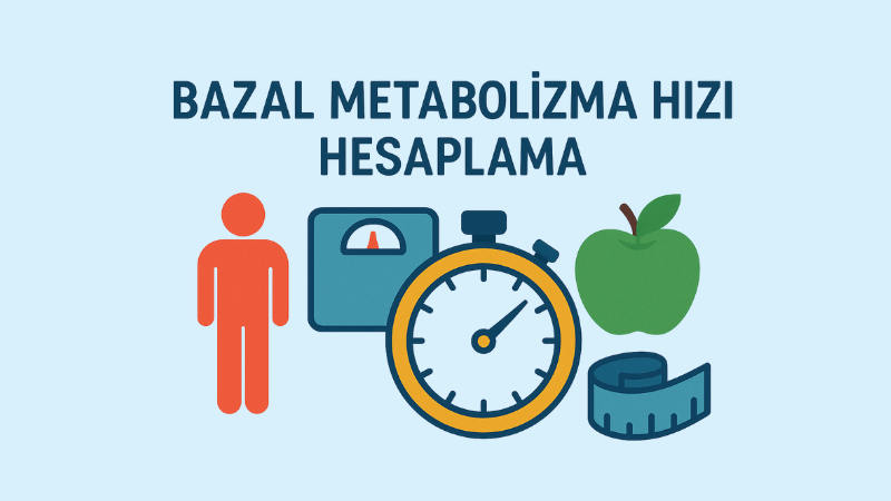 Bazal Metabolizma Hızı Hesaplama