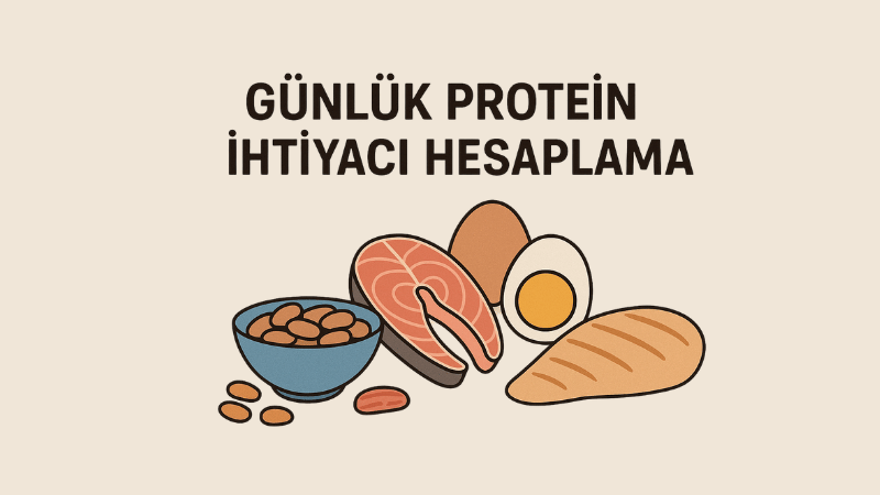 Günlük Protein İhtiyacı Hesaplama