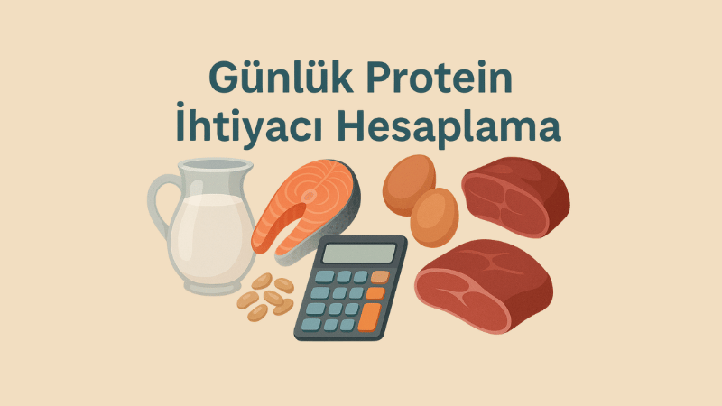 Günlük Protein İhtiyacı Hesaplama