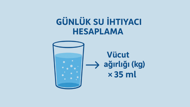 Günlük Su İhtiyacı Hesaplama