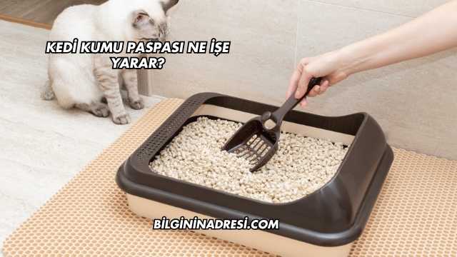 Kedi Kumu Paspası Ne İşe Yarar?