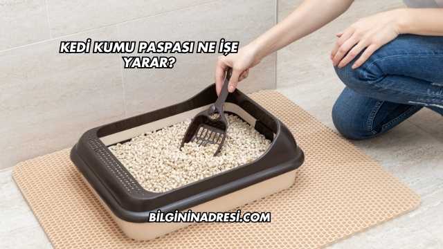 Kedi Kumu Paspası Ne İşe Yarar?