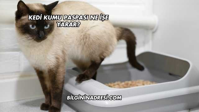 Kedi Kumu Paspası Ne İşe Yarar