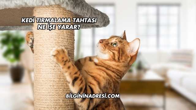 Kedi Tırmalama Tahtası Ne İşe Yarar?