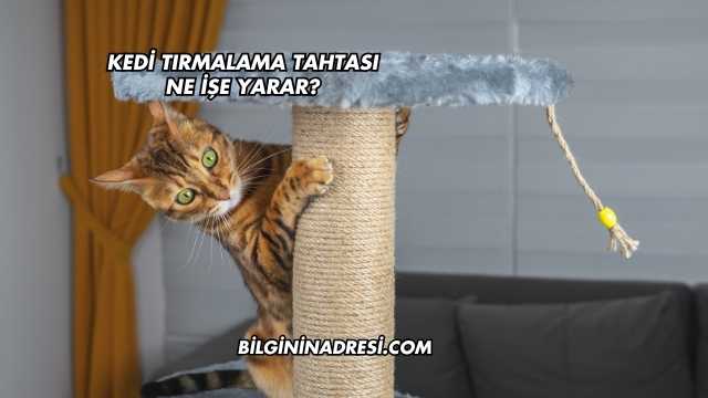Kedi Tırmalama Tahtası Ne İşe Yarar?