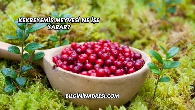 Kekreyemiş Meyvesi Ne İşe Yarar?