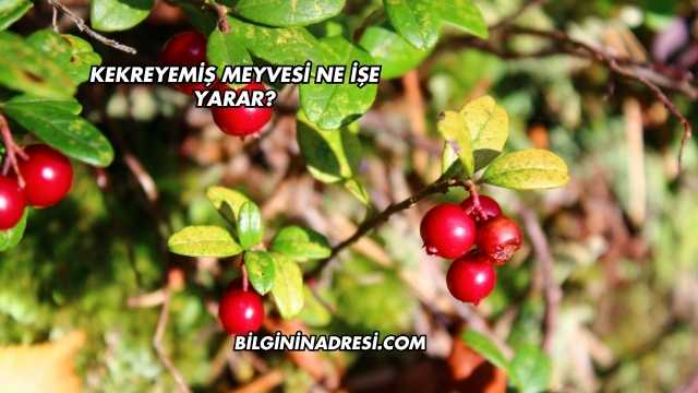 Kekreyemiş Meyvesi Ne İşe Yarar?
