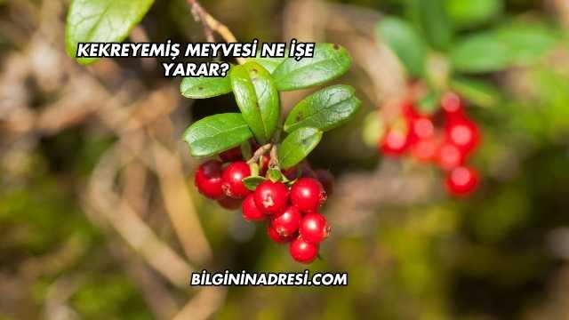 Kekreyemiş Meyvesi Ne İşe Yarar?