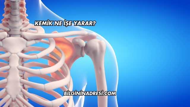 Kemik Ne İşe Yarar?