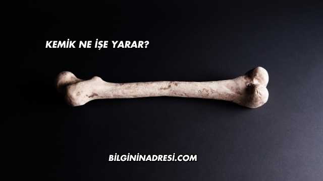 Kemik Ne İşe Yarar?