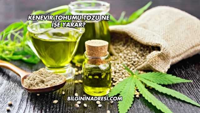Kenevir Tohumu Tozu Ne İşe Yarar?