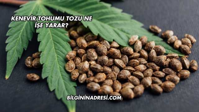 Kenevir Tohumu Tozu Ne İşe Yarar?