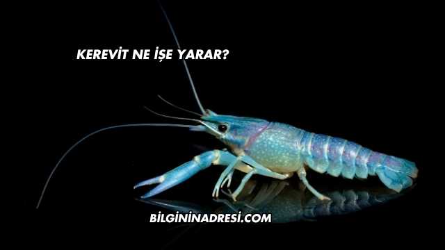 Kerevit Ne İşe Yarar?