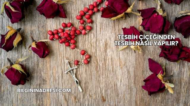 Tesbih Çiçeğinden Tesbih Nasıl Yapılır?